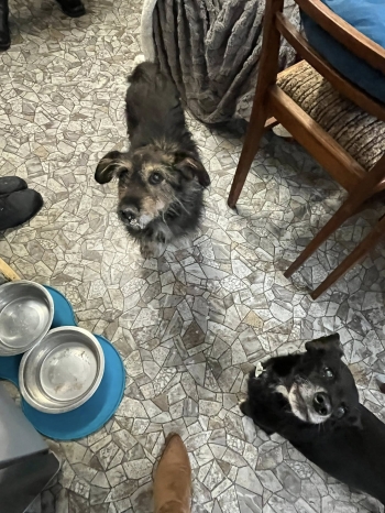 572097953_1385997703528638_6885797936043134952_n