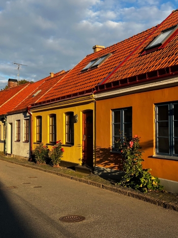 558662418_1364031872391888_438137444839922514_n